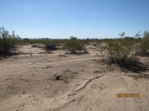 Lot 36A& Douglas Ln: Douglas Ln, Yucca, AZ 86438